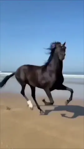 #longvideo #nature #beutifulplace #طبيعة #مناظر_طبيعيه_رائعة #foryoupage #viral #travelinnature #دعمكم_ورفعولي_فديو 