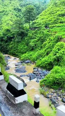 Ghumna jau Sindhuli #sindhuli #highway #sindhulihighway🇳🇵⛰naturelover #nbtheexplorer #bphighway #fyp #nepalitiktok #traveltiktok 