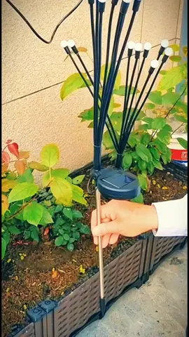 Đèn đom đóm bóng sử dụng năng lượng mặt trời #dentrangtri #dendomdom #dencong #denchieusang #densanvuon #dennangluong #dennangluongmattroi #decor #decorsanvuon #decorquan #Master2023byTikTok 