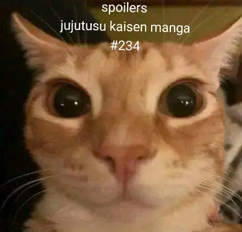 SPOILERS⚠️ no tengo palabras para expresar lo brutal de este capítulo... #jujutsukaisen #jjk234 #jujutsukaisenmanga #spoilers 