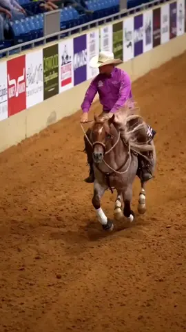 Working cow horse 🇺🇸🇧🇷 #cavalo #quartodemilha #workingcowhorse #horse #hilux