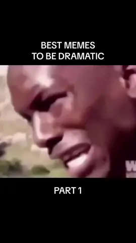 Please … PLEASE … NOOO!!!! #fyp #foryou #foryoupage #bestgcmemes #tyresegibson #please 