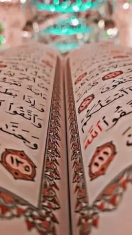 #🌺🌺🌺 #foryou🌺🌺🌺#🌺🌺🌺 #foryoupage #🌺🌺🌺 #🌺🌺🌺 #🌺🌺🌺 ##🌸islamic_video #🌺🌺🌺 #🌺🌺🌺 #bdtiktokofficial🇧🇩 #🌺🌺🌺 #🌺🌺🌺 