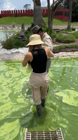Que color ven el agua? (Instagram:BriandaDeyanara)