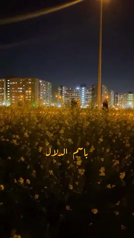 يا ابن الحلال يا ابن الحلال  عذبتني باسم الدلال اما تهنيني ولا تخليني  ما اقدر وتنوي ع ليال يا ابن الحلال ... يا ابن الحلال . . . #يبن_الحلال #يا_ابن_الحلال  #سميرة_سعيد #سميره_سعيد  #يابن_الحلال #الديفا #الديڤا  #ثمانينات #الثمانينات #خليجي_قديم #خليجي #اغاني_خليجية_قديمة #خلي_البال #سعود_السالم #بسماية #يابن_الحلال #عبدالرب_ادريس #ماقدر  #عبدالرب_إدريس #عبد_الرب_إدريس  #عبد_الرب_ادريس #تصاميم #تصميمي