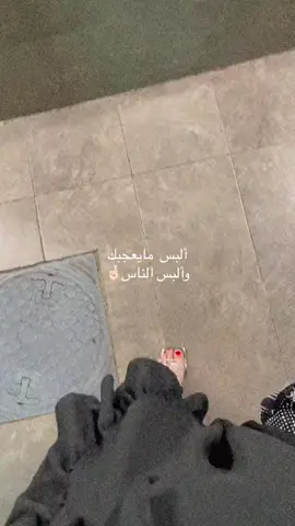 #البس_مايعجبك_والبس_الناس #الشعب_الصيني_ماله_حل😂😂 #ترند #عراقيه #ستوريات #ستوري_ #حالات_واتس #بنات #طلعه #عبايه #شعر #اكسبلورexplore #البس_مايعجبك_ولبس_الناس 