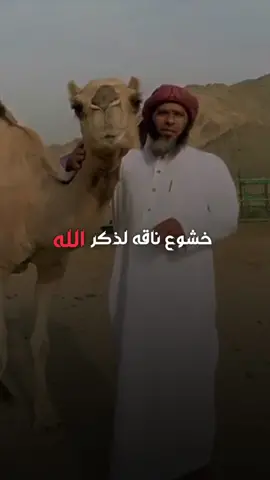 خشوع ناقه لذكر الله 🥺🤍 #احمد_الصايل #المصـمم_احـمد🇸🇾 