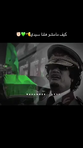 #الجماهيرية_العربية_الليبية_العظمى #عيد_الفاتح_العظيم💚 #على_المبدى_نموت #معمرالقذافي #معمر_القذافي_ضمير_العالم #معمر_القدافي_الأسطورة_لاتعوض💚 #معمر_القذافي_ليبيا_اكسبلور #اكسبلورexplore #fypシ #foryou 