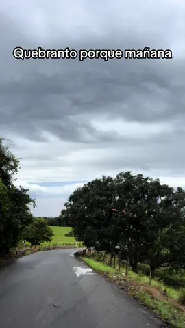 Los hermosos paisajes del llano no tienen nombre 🤠😍🍃 ¿Para qué dejar que otros te lo cuenten si puedes seguir mis redes sociales Instagram, Facebook y tiktok y enterarte al instante de las novedades que publico siempre? Sígueme.🙏🏻#destinos #colombia #llanos #llanosorientales #llanura #paseo #turismo #videos #departamentodelmeta #explore #southamerica 