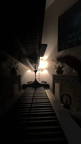hai #wavetoearth #piano #fyp 