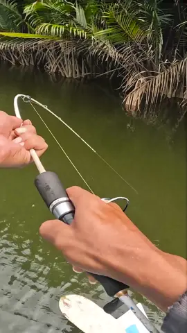 Tak Sadar Umpan Sudah Di telan #mancing #fishing