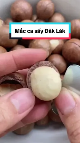 Mắc Ca sấy đăk lăk cả nhà đã ăn chưa ? #dungduongdaklak #hatmaccanhadung #hatmaccahuyfood #mắcca #maccadaklak #tachvomacca #maccahuyfood 