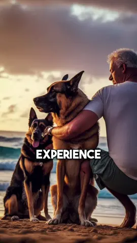 Adopt a dog for a day #facts #story #animals #dog #dogs 