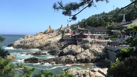 Ngôi chùa ven biển đẹp nhất Busan ❤️ #chunhoa #chunhoatienghan #한국어 #LearnOnTikTok #busan #haedongyonggungsa 