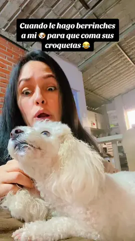 #loveyou #fyp #dog 🐶❤️.    FELIZ JUEVES ✨🫶🦋🐶