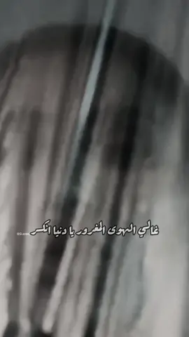 #أميمة_طالب #حبيب_احد #fypシ #اكسبلور #explore 