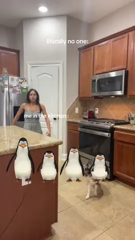 I know gians tired of this song 🤣 also… why are my penguins on stick mode 