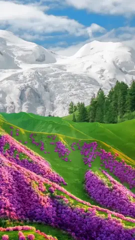 No copywriting, only beautiful scenery #nature #scenery #beautifull #beauty #foryou #fyp #cure #XinJiang 