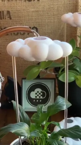 Give your plants a rain cloud😏#goodstuff #goodthings #homehacks #householditems #useful #LearnOnTikTok #tiktokmademebuyit #fyp #foryou 