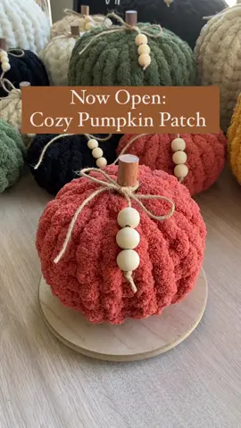 Happy September! The Cozy Pumpkin Patch is open for early picking 🎃 Available in small, medium, and large sizes plus a variety of colors, these plush pumpkins are the perfect addition to your home for the fall season!  Small: $8 Medium: $12 Large: $20 Save and get a set of all three for $35! #chunkyknitpumpkins #pumpkinpatch #pumpkinspiceseason #falldecorinspo