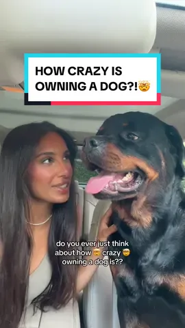 HOW CRAZY 🤯 (wish all dog owners were like this!) #rottweiler #dogowner 