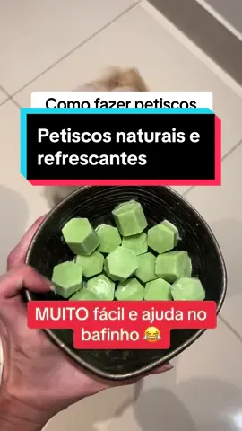 Mais uma receitinha de petiscos naturais SUPER fácil e aprovadíssima por Maya Cristina (e por mim!) Com apenas 2 ingredientes e 5 minutos de preparo, você consegue fazer petiscos naturais, saudáveis e deliciosos! Achei que os petiscos ficaram gostosos e bem refrescantes - confesso que comi junto com ela 😂❤️ Já testou alguma receita parecida por aí? Me conta nos comentários! 🥰 Receitinha inspirada em um vídeo da @nativepet #jogosparacaes #alimentacaonatural #alimentacaonaturalpet #alimentacaonaturalparacaes #petiscos #petiscosemcasa #petiscosparacães #shihtzu #shihztusoftiktok #shihtzubrasil 