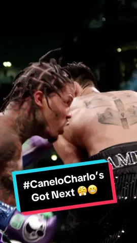 2023 is the year of super fights and #CaneloCharlo is up next. #fyp #boxing #showtime #ppv #davisgarcia #spencecrawford #caneloalvarez #saul #jermellcharlo #lionsonly 
