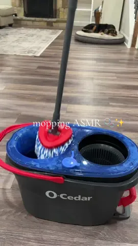 The dirt didn’t stand a chance! 🫧✨ #asmrvideo #mopping #moppingasmr #moppingfloors #asmrcleaning #cleaningmotivation  