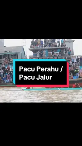 Pacu jalur #fyp #jambi #tanjabtim #sumatera #melayu #kemerdekaanindonesia🇮🇩 #jambitiktok #fypシ #nipahpanjang 