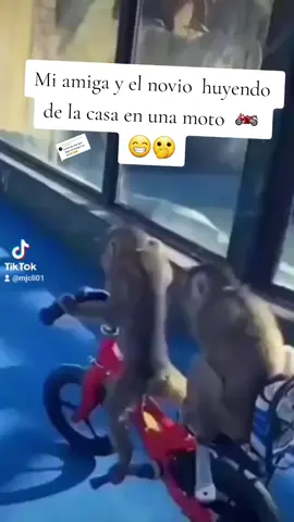 Respuesta a @andino0013 tu pedido #humortiktok 