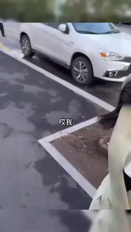 #上热门tiktok #dou小助手dou上热门 @DOU+小助手 好人有好报