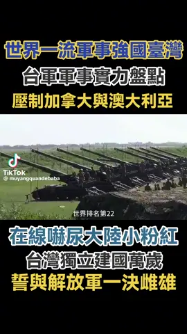 🇹🇼軍事力量