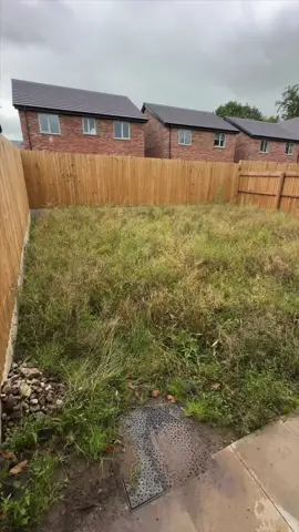 Story so far and The Meadow Project  #landscaping #garden #longvideo 