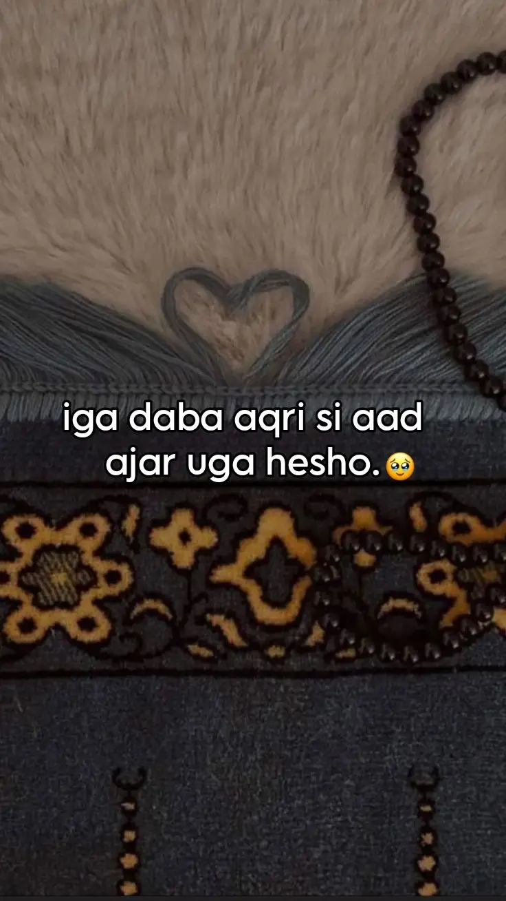 4090 walaalo ah illahey dartiid ni jeclhy🫶🏼#hesalove💕 #fypシ #fypシ #رهانة🐼 