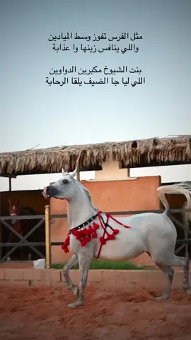 #اكسبلوووووووور #شيلات #قصايد_شعر_خواطر #مقاطع #تصاميم_فيديوهات #خواطر_للعقول_الراقية #خيول_عربية_اصيلة #خيول اصيله#اكسبلورexplore #دفوووووووووه 