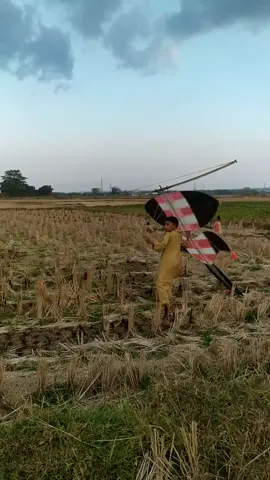 layangan pak sakera#justforfun #layangan #17agustus #viral #lucu #FYP 