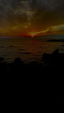 Người đuổi theo hạnh phúc rồi tan vào trong biển trời #nhactamtrang #lyrics #xuhuong 