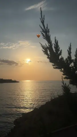 Boş yere canı yanmaz insanın. Ya bir eksiklik vardır geleceğe dair ya da bir fazlalık geçmişten gelen... #kesfetedusersehaberverin #storyvideo #sonyazfox #akgüngökalptaşkın #begeniyorum #manzara #kesfet #vangölü  #likesyou 