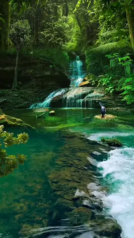 #naturebeauty #nicescenery #naturescenery #naturelover #relaxing #livewallpaper #videobackground #freetouse #usenow #trending #amazingview #stunning #viraltiktok #foryoupage #foryou 