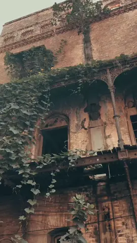 كل يوم نتعلم 👌🤔 #علي_بن_محمد #كل_يوم_نتعلم #fypシ #اكسبلورexplore #foryoupage 