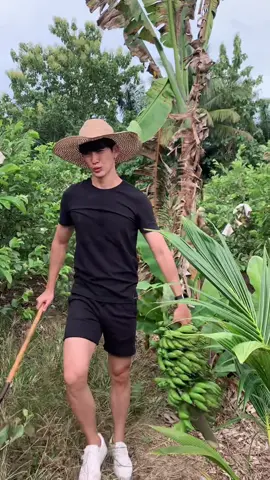 เมื่อครั้งเข้าไร่ไปตัดกล้วยเล็บมือนาง 🍌😅  #ดีเจพุฒ #ไร่หมาเมิน 