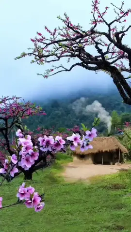 #lidiamariana🎶🇵🇾 #oimelañanderaity #quemilyambay #polkaparaguaya🇵🇾💃 #guarani #letras #paisajes_hermosos #letrasdecanciones🎧🎶 #paraguay 