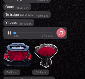 Como le llego ese audio y esos stickers? 😾 #fyp #komander #parati 