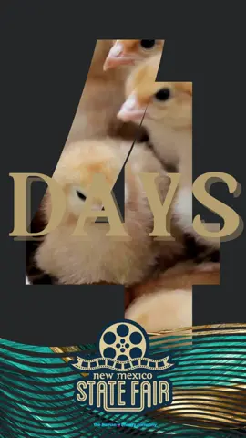 The countdown continues. 4 days until the NM State Fair!  #NMStateFair23 #NMStateFair #NMSF #NewMexico #LandOfEnchantment #nm #NewMexicoLove #NewMexicoLife #Albuquerque