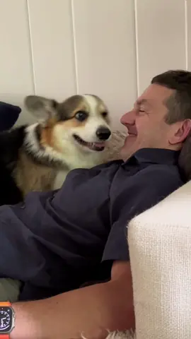 True lub 💕🥰 #corgi #cuddlydog #dogdad #corgilove #dogsnuggles 