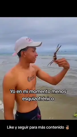 Dame la receta de la cangreburger 🤣 #viralvideo #videoviral #cangreburger #damelarecetacangrejo #funnyespañol #risasymasrisas #humorespañoltiktok #humorviral #humorchileno🇨🇱 