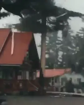 Lightning stikes a tree during thunderstorm #funny #barbie #meme #funnymemes #dailydoseofinternet #funnyreels #funnymemes #funnyvideo #funnymoments #comedyreels #lol #funny #comedyvideo #funnyvideos #joke #laugh #dailymemes #lmao #humor #haha #smile #viral #tiktok #fyp #fypシ゚ #repost #trending #foryou #viralvideo #viraltiktok #viralvideos #bestreels #explorepage