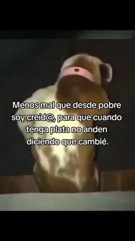 #parati #viral #meme #memes #humor #tiktok #foryou #creido #pobre #creida #cambiar #plata 