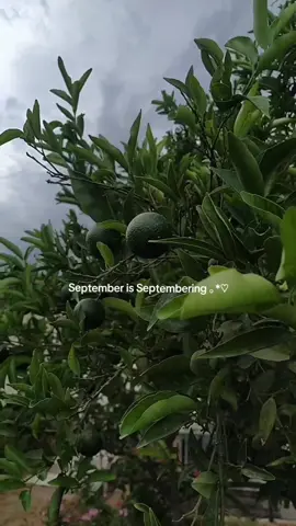 #fyp #september #coldweather #rain #aesthetic #cloudy 