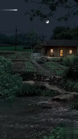 Chinese village lifestyle #landscape #foryou #night 